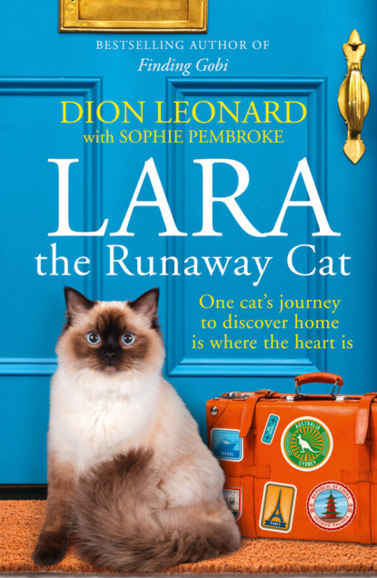 Sophie Pembroke — Lara The Runaway Cat: One cat’s journey to discover home is where the heart is
