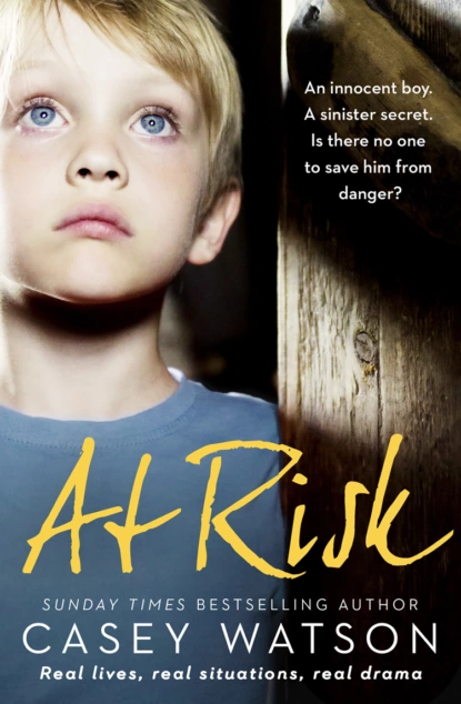 Обложка книги At Risk: An innocent boy. A sinister secret. Is there no one to save him from danger?, Casey  Watson