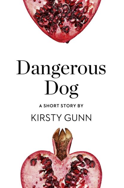 Dangerous Dog: A Short Story from the collection, Reader, I Married Him (Kirsty  Gunn). 