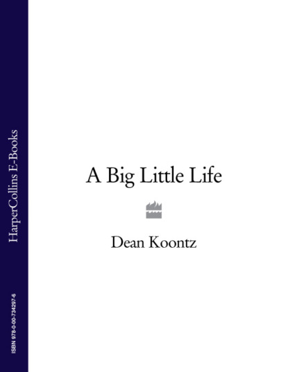 Dean Koontz - A Big Little Life