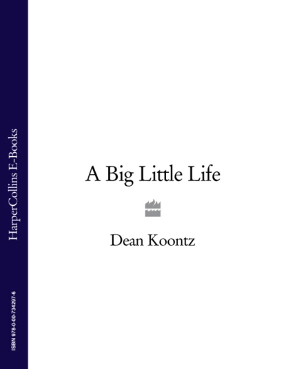 Обложка книги A Big Little Life, Dean Koontz