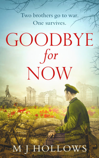 M.J. Hollows - Goodbye for Now: A breathtaking historical debut