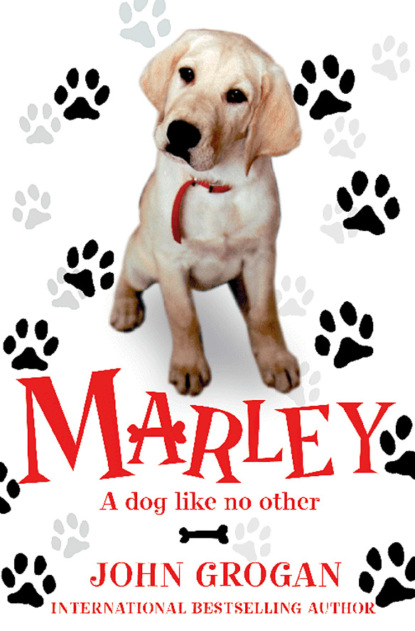 John  Grogan - Marley: A Dog Like No Other