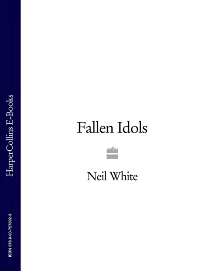 Обложка книги FALLEN IDOLS, Neil  White