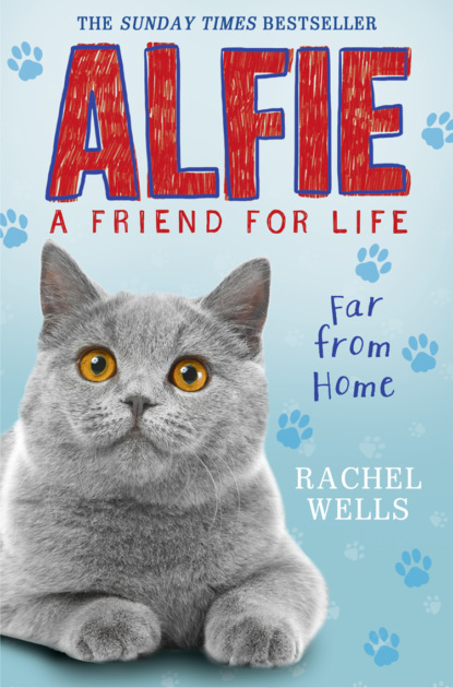 Rachel  Wells - Alfie Far From Home
