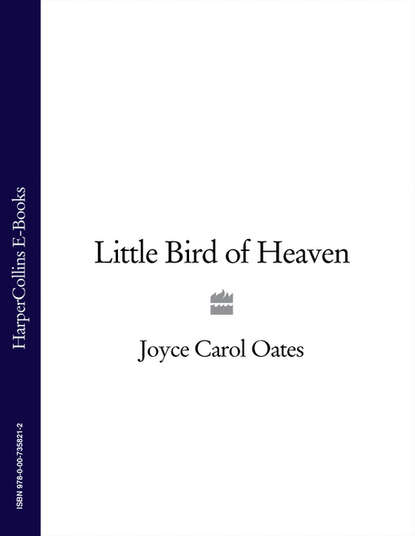 Joyce Carol Oates - Little Bird of Heaven