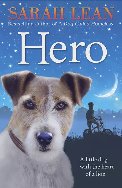 Обложка книги Hero, Sarah  Lean