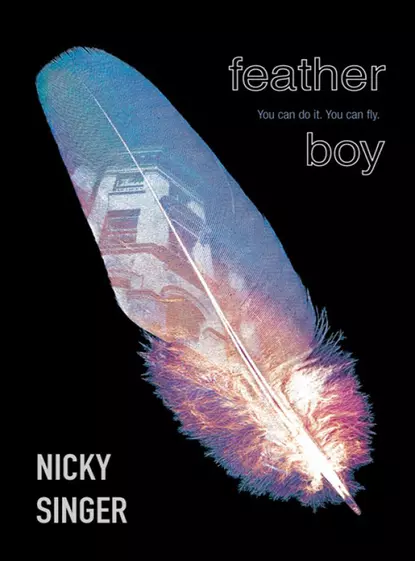 Обложка книги Feather Boy, Nicky  Singer