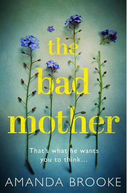 Amanda  Brooke - The Bad Mother: The addictive, gripping thriller that will make you question everything