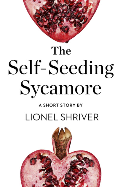 Lionel Shriver - The Self-Seeding Sycamore: A Short Story from the collection, Reader, I Married Him