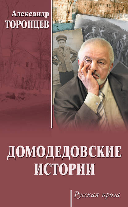 Александр Петрович Торопцев - Домодедовские истории (сборник)