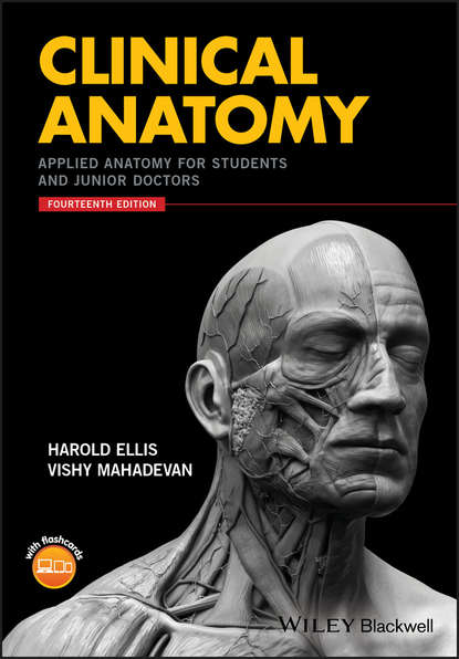 Harold  Ellis - Clinical Anatomy. Applied Anatomy for Students and Junior Doctors