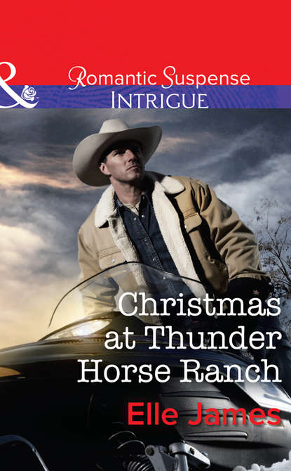 Elle James - Christmas at Thunder Horse Ranch
