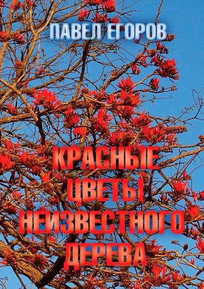 Павел Егоров - Красные цветы неизвестного дерева