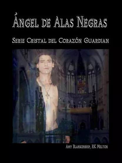 Обложка книги Ángel De Alas Negras, Amy Blankenship