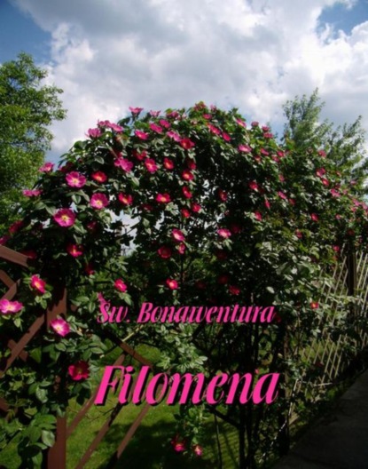 Święty Bonawentura — Filomena