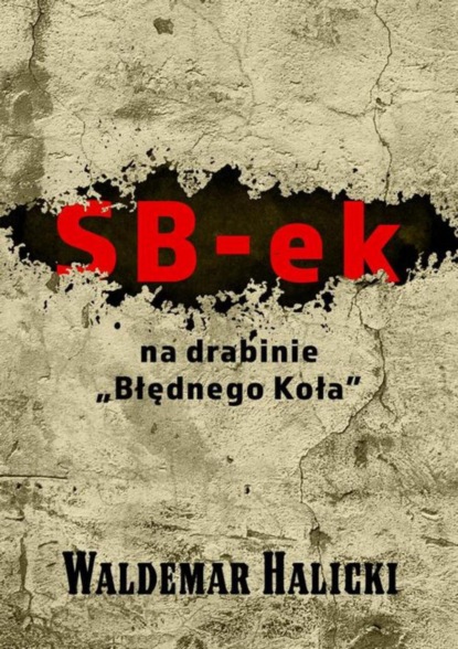 

SB-ek na drabinie „Błędnego koła”