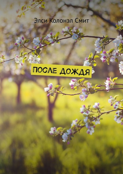 

После дождя