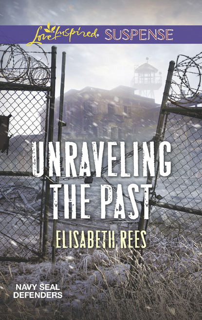 Unraveling The Past (Elisabeth  Rees). 