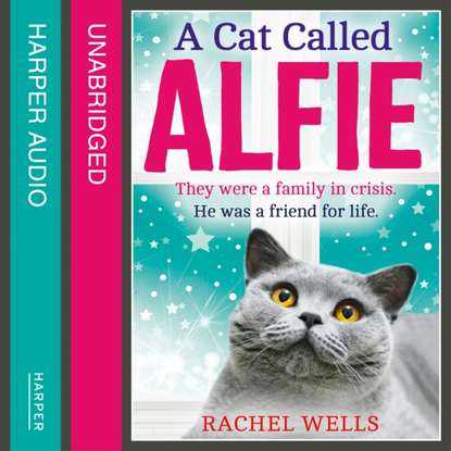 Rachel  Wells - Cat Called Alfie