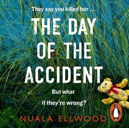 

Day of the Accident