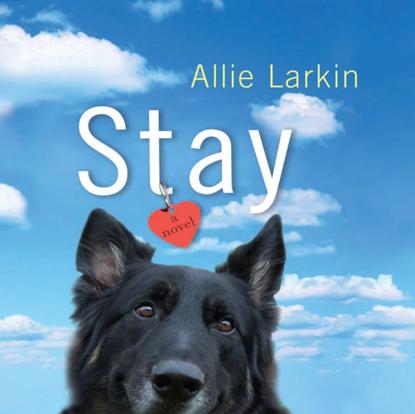

Stay