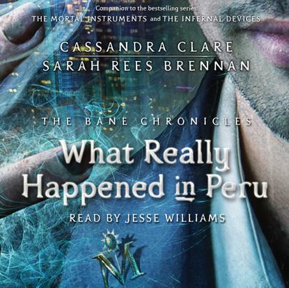 Sarah Rees Brennan — What Really Happened in Peru