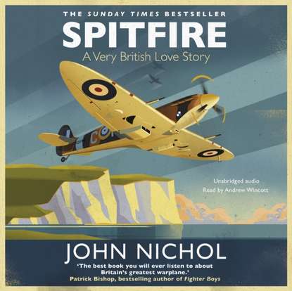 John  Nichol - Spitfire