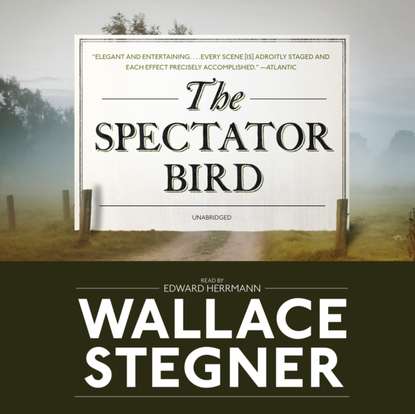 

Spectator Bird