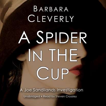 Barbara Cleverly — Spider in the Cup