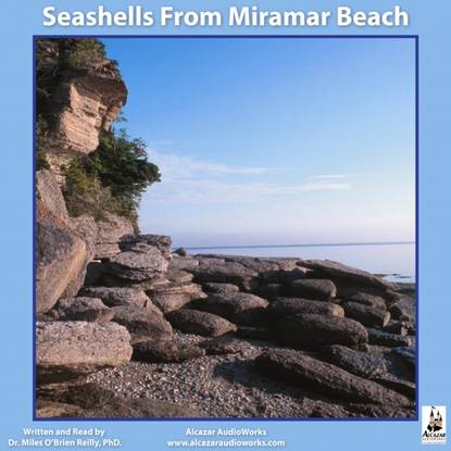 Dr. Miles O'Brien Riley — Seashells from Miramar Beach