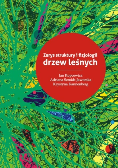 Группа авторов - Zarys struktury i fizjologii drzew leśnych