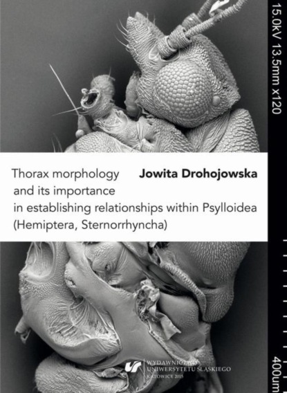 Jowita Drohojowska - Thorax morphology and its importance in establishing relationships within Psylloidea (Hemiptera, Sternorrhyncha)