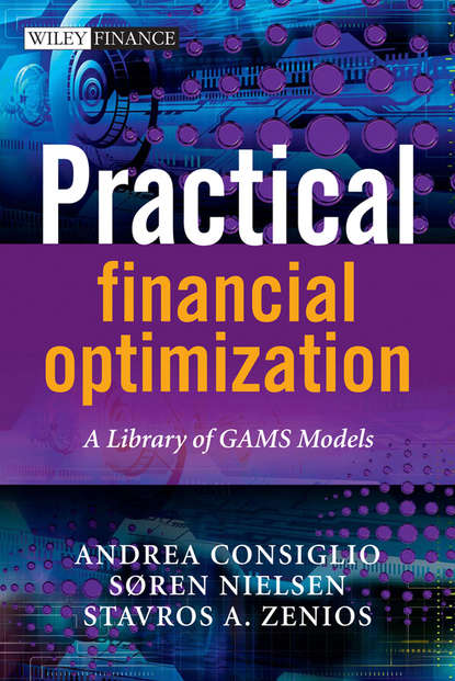 Practical Financial Optimization (Andrea  Consiglio). 