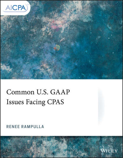 Группа авторов - Common U.S. GAAP Issues Facing CPAS