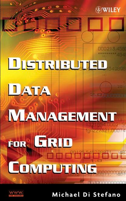 Группа авторов - Distributed Data Management for Grid Computing