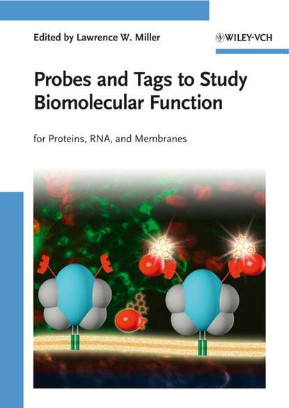 Probes and Tags to Study Biomolecular Function (Группа авторов). 