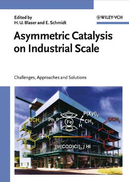 Asymmetric Catalysis on Industrial Scale (Elke  Schmidt). 