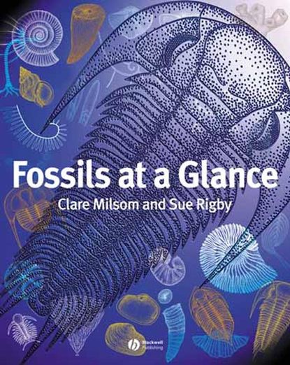 Fossils at a Glance (Clare  Milsom). 