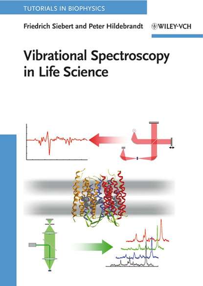 Friedrich  Siebert - Vibrational Spectroscopy in Life Science