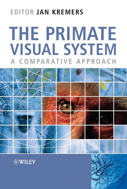 Jan  Kremers - The Primate Visual System