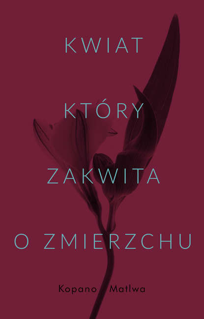 Kopano Matiwa - Kwiat, który zakwita o zmierzchu