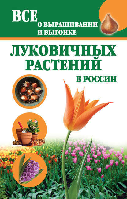 Татьяна Александровна Литвинова - Все о выращивании и выгонке луковичных растений в России