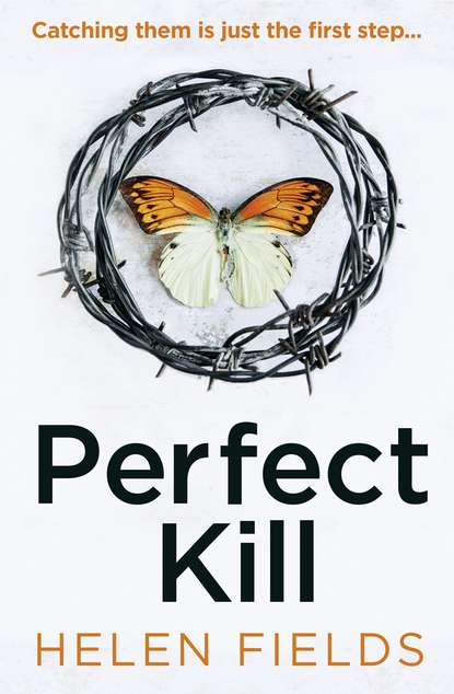Helen  Fields - Perfect Kill