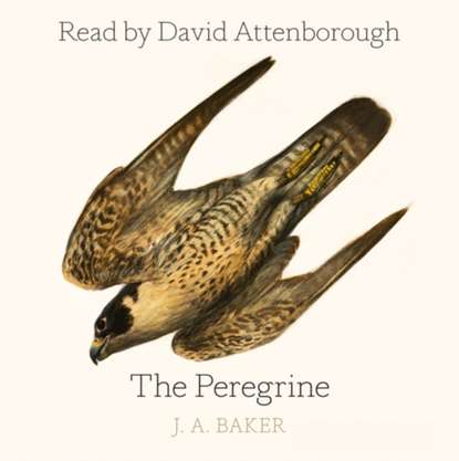 J. A. Baker - Peregrine