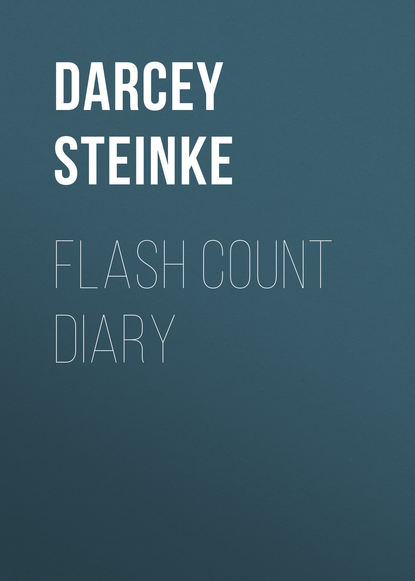 Darcey  Steinke - Flash Count Diary