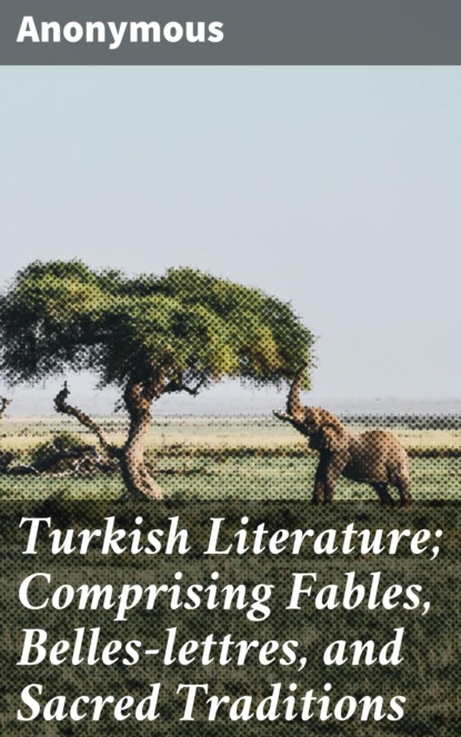 Anonymous - Turkish Literature; Comprising Fables, Belles-lettres, and Sacred Traditions