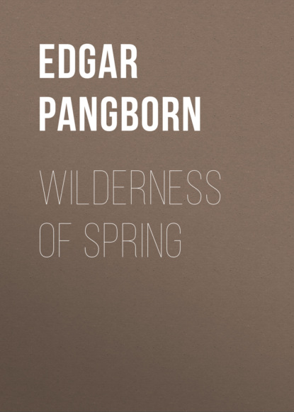 Edgar  Pangborn - Wilderness of Spring