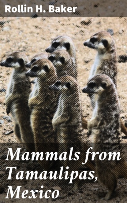 

Mammals from Tamaulipas, Mexico