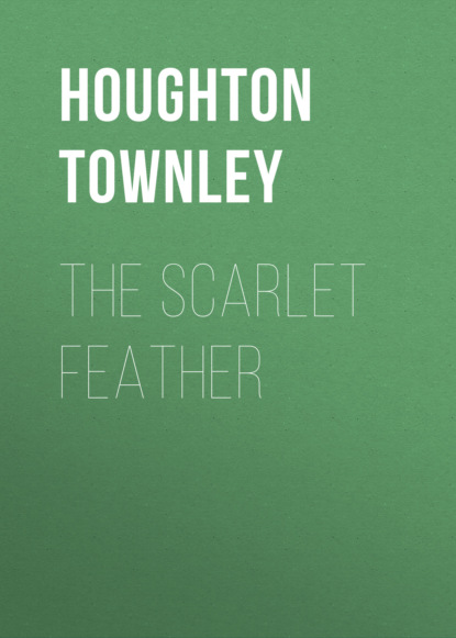 

The Scarlet Feather